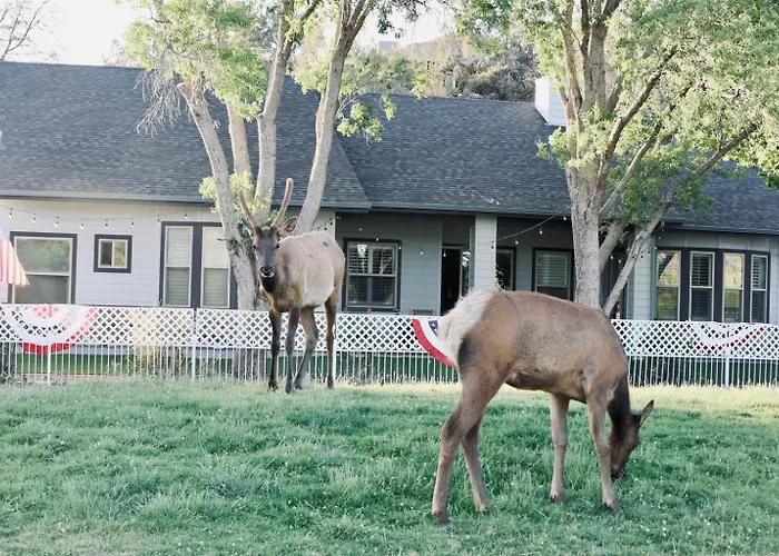 Holiday home Wake Up To Elk & Golf Views At Eagles Nest *