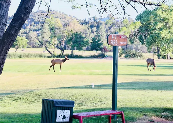 Wake Up To Elk & Golf Views At Eagles Nest