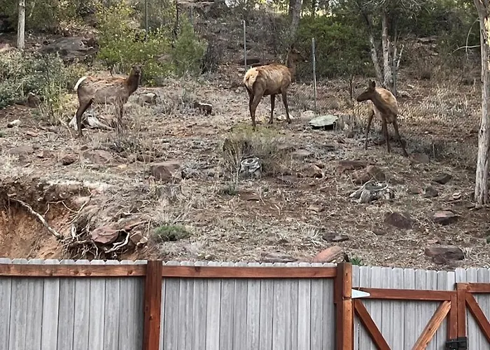 Holiday home Wake Up To Elk & Golf Views At Eagles Nest