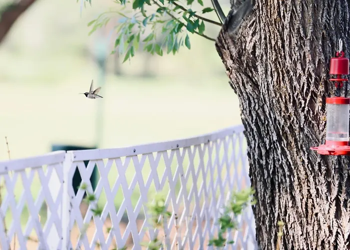Wake Up To Elk & Golf Views At Eagles Nest Holiday home